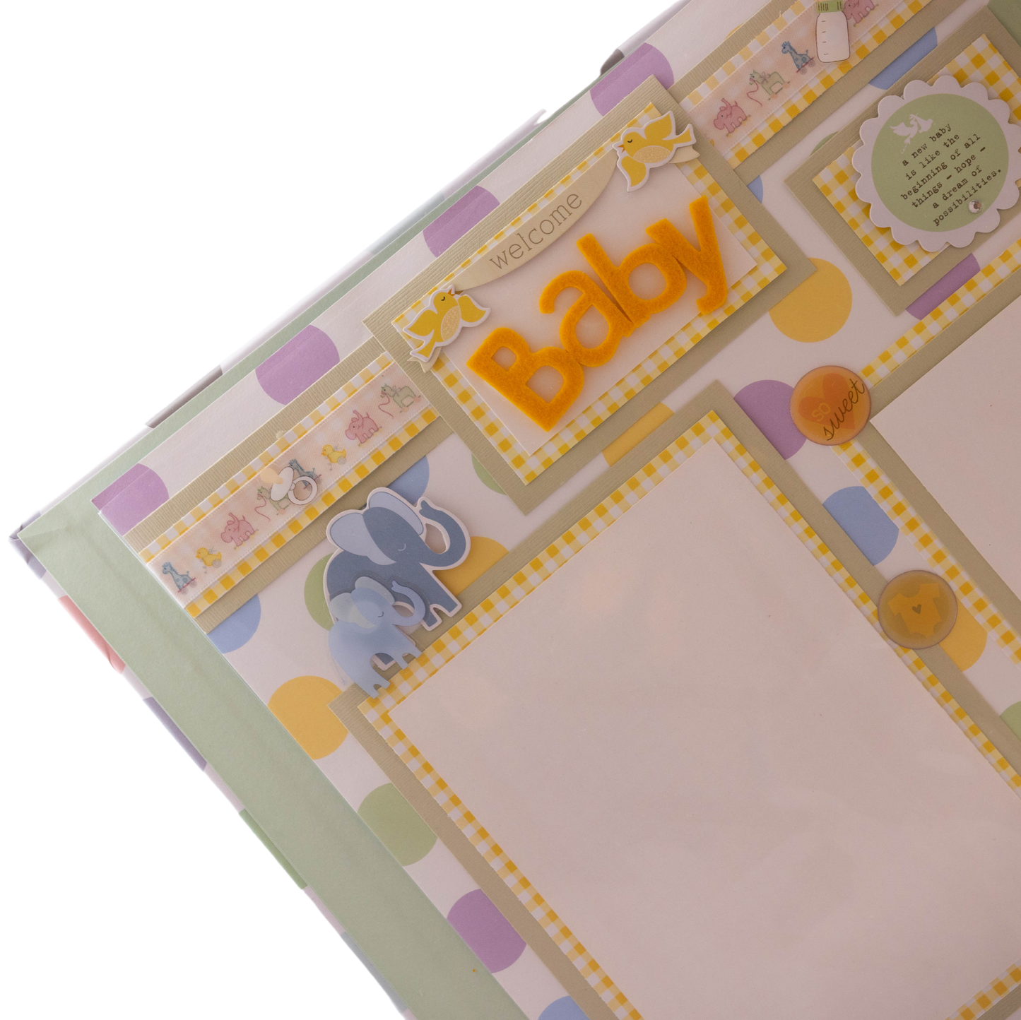 Baby Scrapbook - 12X12"